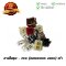 สายไฟชุด Wave100s 2005 สตาร์ทเท้า 7 ขั้ว ยี่ห้อ PEG